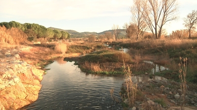Montblanc recuperarà la zona humida de la Sallida