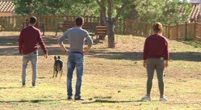 Valls estrena un parc per a gossos