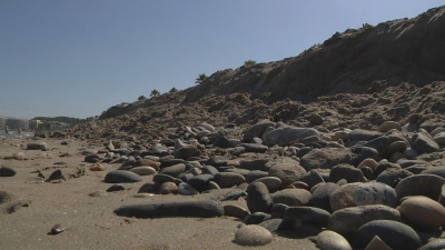 Els experts alerten de la regressió de les platges