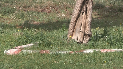 Troben gats morts atrapats en paranys a Parc Riuclar