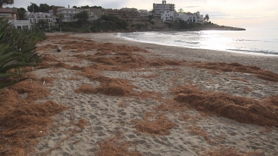 Altafulla vol una gestió sostenible de la platja