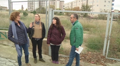 Valls habilitarà un centre d&#039;acollida de gats