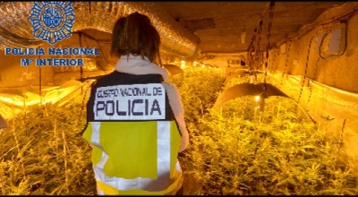 La Policia desarticula un grup que distribuïa marihuana des de Valls