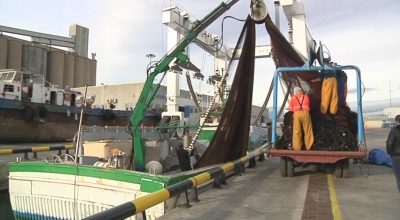 Pleguen 7 barques del peix blau de Tarragona per la crisi de captures